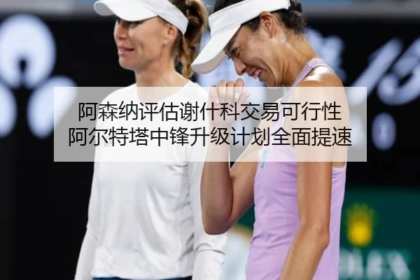 阿森纳评估谢什科交易可行性 阿尔特塔中锋升级计划全面提速